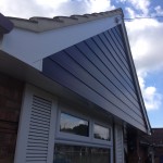 Rosewood Cladding With White Bargeboard and box end