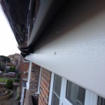 Cream Fascia, Black Round Guttering