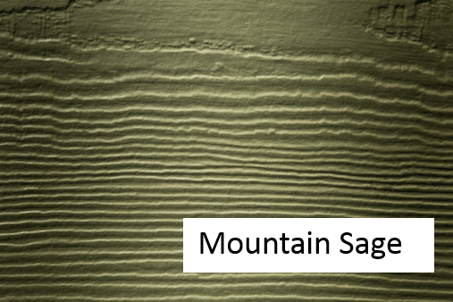 Mountain Sage